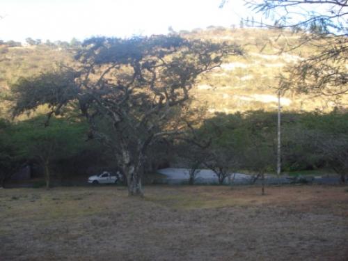 TERRENO 2.250 M2. DENTRO DE URBANIZACION PILLAGUA - CUMBAYA