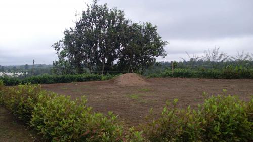 INMOBILIARIA TEMPUS VENDE FINCA EN SANTO DOMINGO