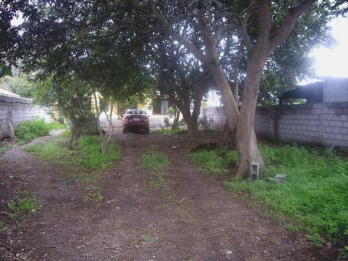 Vendo pequeï¿½a Quinta en Guayabamba a 35 minutos de Quito
