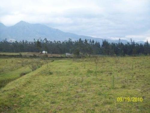 Hermosos lotes de terreno en Imbabura