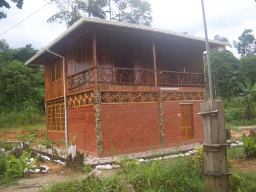 alquilo casa junto al rio tena!!!!!!!!!!