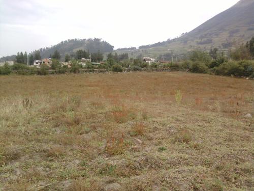 VENDO LOTE EN LA ZONA DE INTAG JUNTO AL COMPLEJO DE LAS PISCINAS DE NANGULBI