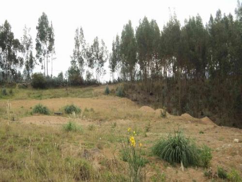PROPIETARIO VENDE TERRENO