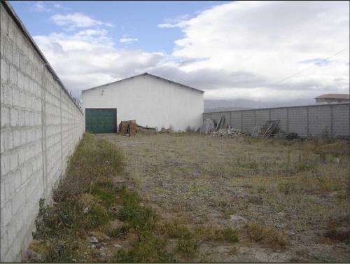 Galpón en alquiler o distribución de producto o marca para zona centro del país
