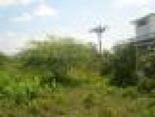 FINCAS DELIA DURAN KM 7 VIA DURAN TAMBO