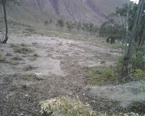 VENDO DE OPORTUNIDAD TERRENO