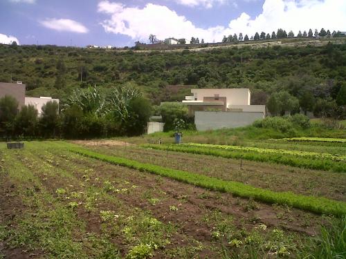 EXCELENTE TERRENO EN PILLAGUA CUMBAYA