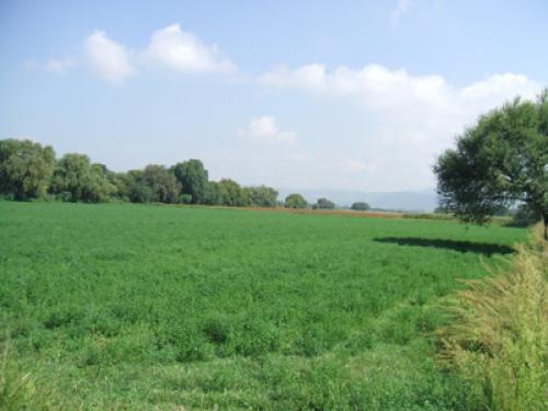 terrenos de 1.000 metros precio oferta de 8000 dolares cada uno