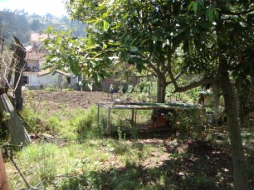cod: 27859 -- MJN CONSTRUCCIONES VENDE E- TERRENO EN AV. LAS AMERICAS CONTRL SUR 920MTS