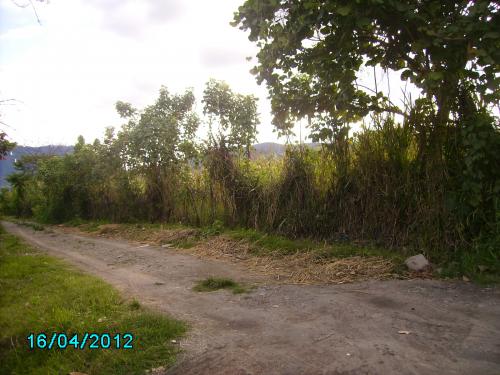 Vendo un lote de terreno en Catamayo