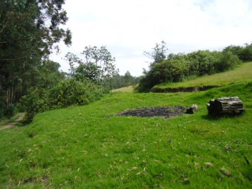 Vendo 7 hectareas a precio de 3. AMAGUANA