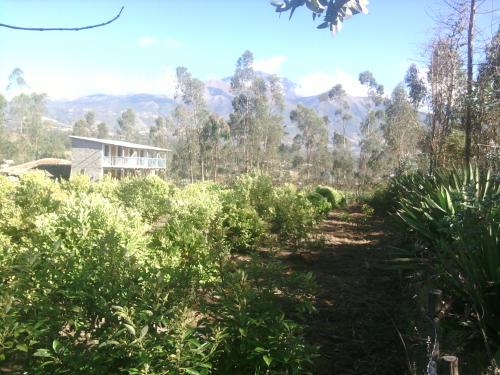 POR MOTIVO DE VIAJE VENDO LINDO TERRENO APTO PARA HUERTA SUELO MUY PRODUCTIVO