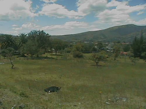 Vendo Terreno en Tumbaco / Sta. Ana