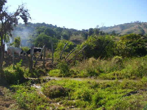 vendo/cambio finca ganadera