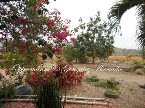 Finca en venta en Santa Ana, Manabi