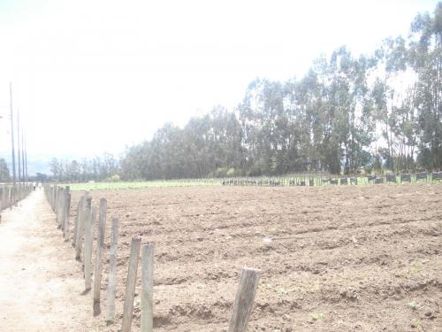 OPORTUNIDAD TERRENO ENTRADA YARUQUI