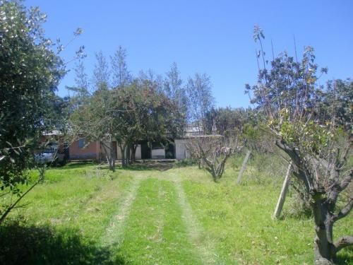 CHECA QUINTA RUMIPUNGO