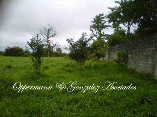 Vendo terreno en Santo Domingo vía Chone.
