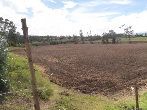 VENDO TERRENO DE 1 HECTAREA Y MEDIA EN NATABUELA - VELLAVISTA. 