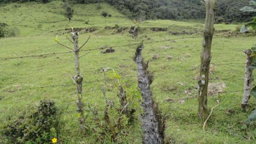 VENDO HACIENDA DE 38 HECTAREAS EN KM12 VIA SELVA ALEGRE