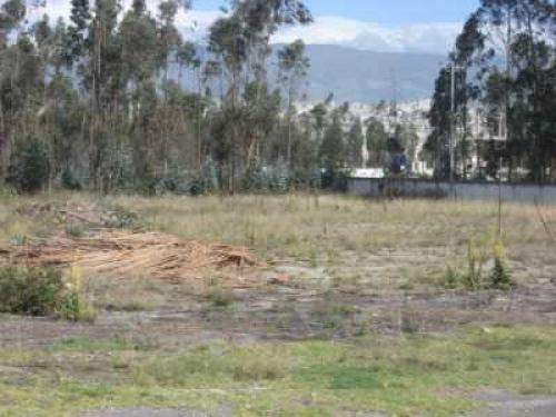 VENDO TERRENOS INDUSTRIALES EN PINTAG