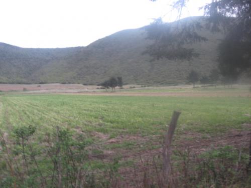 VENDO TERRENO INDUSTRIAL EN CALACALI