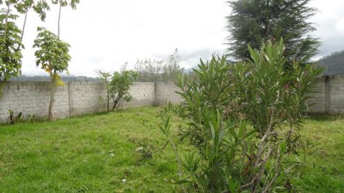 VENDO TERRENO CON GALPON EN CARABUELA - OTAVALO