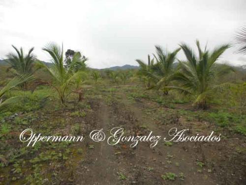 Vendo Finca plana con agua