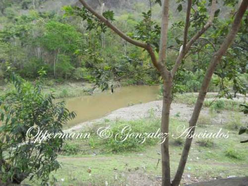 Vendo finca en Pedernales.