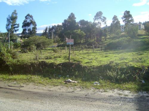 LOTE ZARZAS I