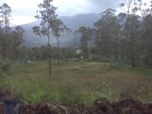 TERRENO DE VENTA