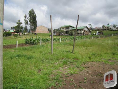 Terreno en Tarqui 2500m2