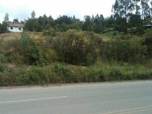 POR MOTIVO DE VIAJE VENDO TERRENO EN LA AUTOPISTA AZOGUEZ-CUENCA