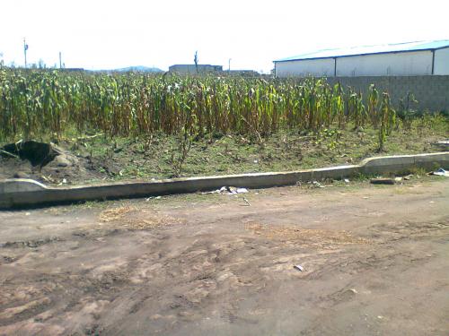HERMOSOS LOTES DE TERRENO CONTIGUOS