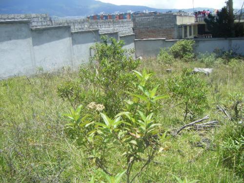 VENTA TERRENO DETRAS DE SOLCA