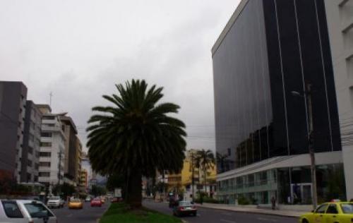 RENTO OFICINA EN EL FORTUNE PLAZA