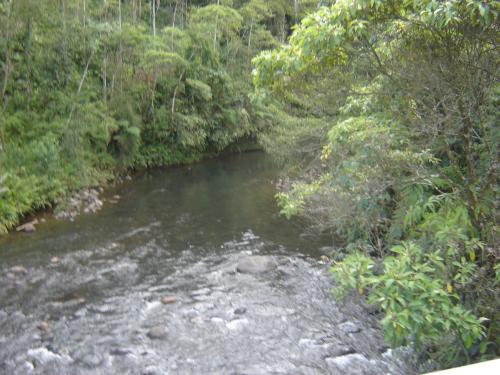 FINCA EN CANELOS El PUYO