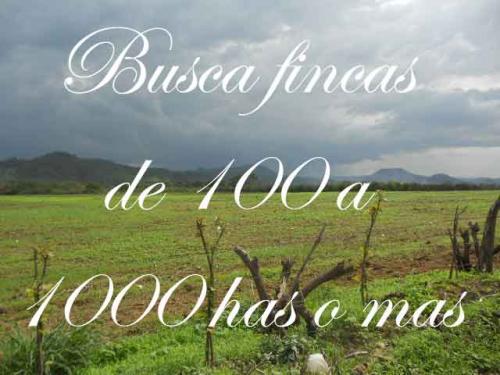 Busca fincas de 100 hectáreas o más. 