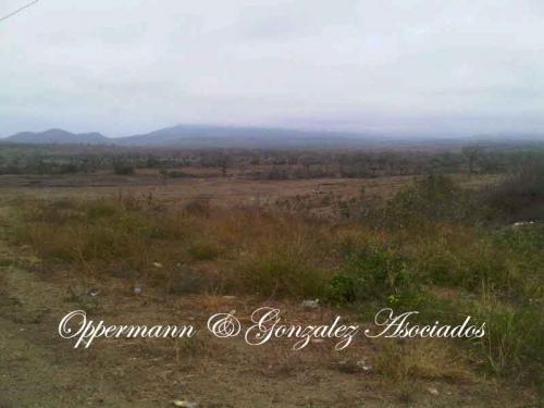 Finca por la zona Franca, Montecristi.