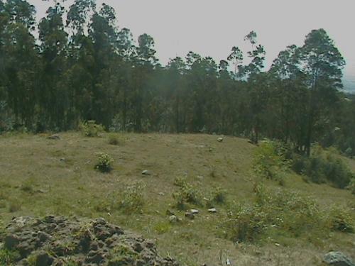 Vendo 10 Hectareas en San Juan de Cumbaya