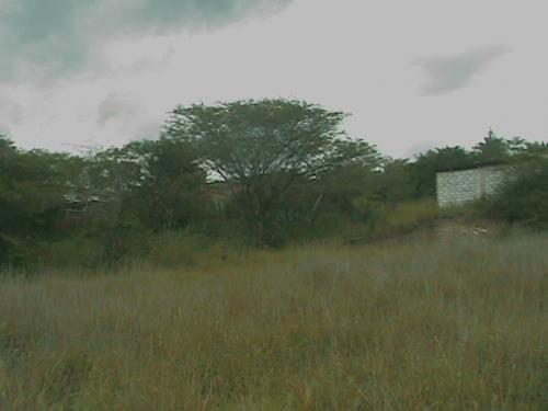 Vendo Terreno en Tumbaco Urb. Cerrada