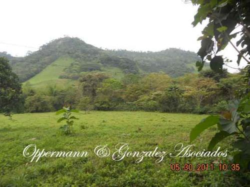 Vendo finca en Santa Ana con producción.