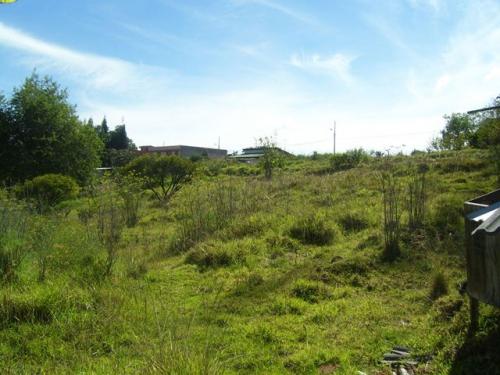 Oriente  hectarias en Morona Santiago Sucua 