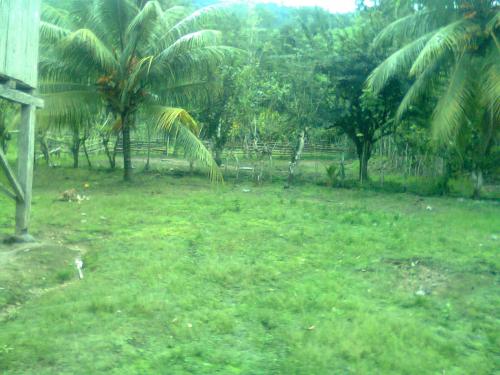 Hacienda  para sembrio en Viche