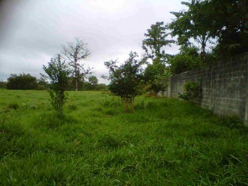 Vendo terreno en Santo Domingo vía Chone.