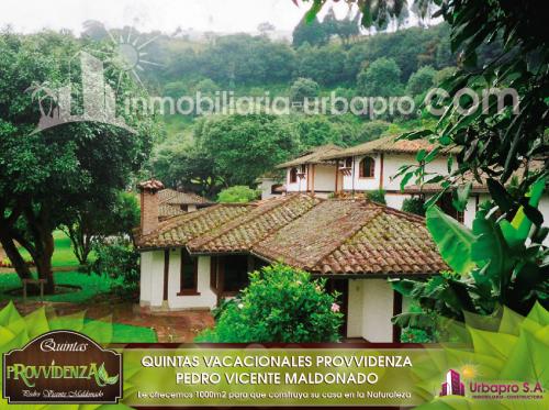 Quintas Vacacionales un paraíso natural lleno de vida silvestre, vegetación  y ríos cristalinos