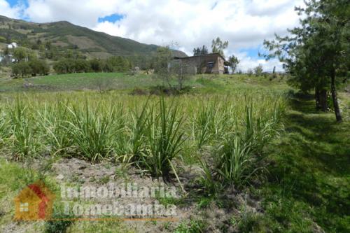 Se vende Terrenos en paute