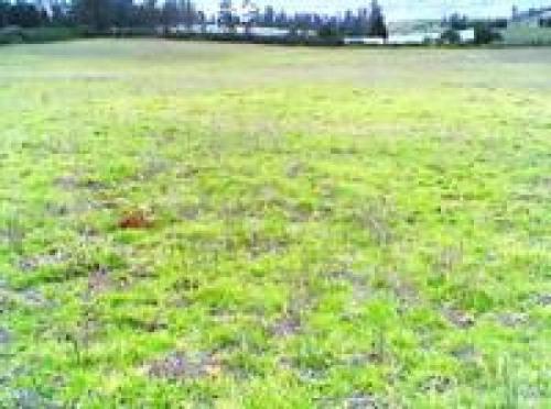 VENDO TERRENO EN CUMBAYÁ