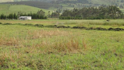VENDO 2 HECTAREAS Y MEDIA DE TERRENO EN OLMEDO - PESILLO