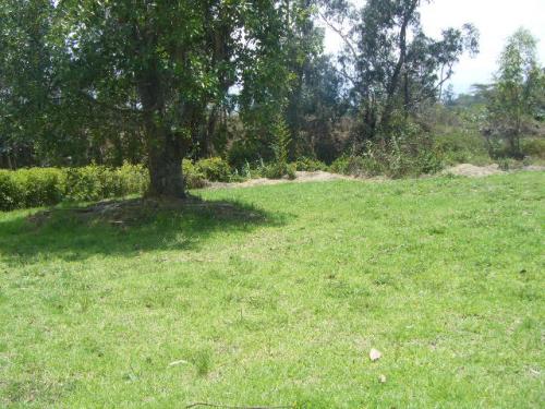 VENTA TERRENO PLANO, CONJUNTO CERRADO, TUMBACO